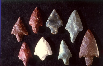 Dalla Caccia alla Guerra