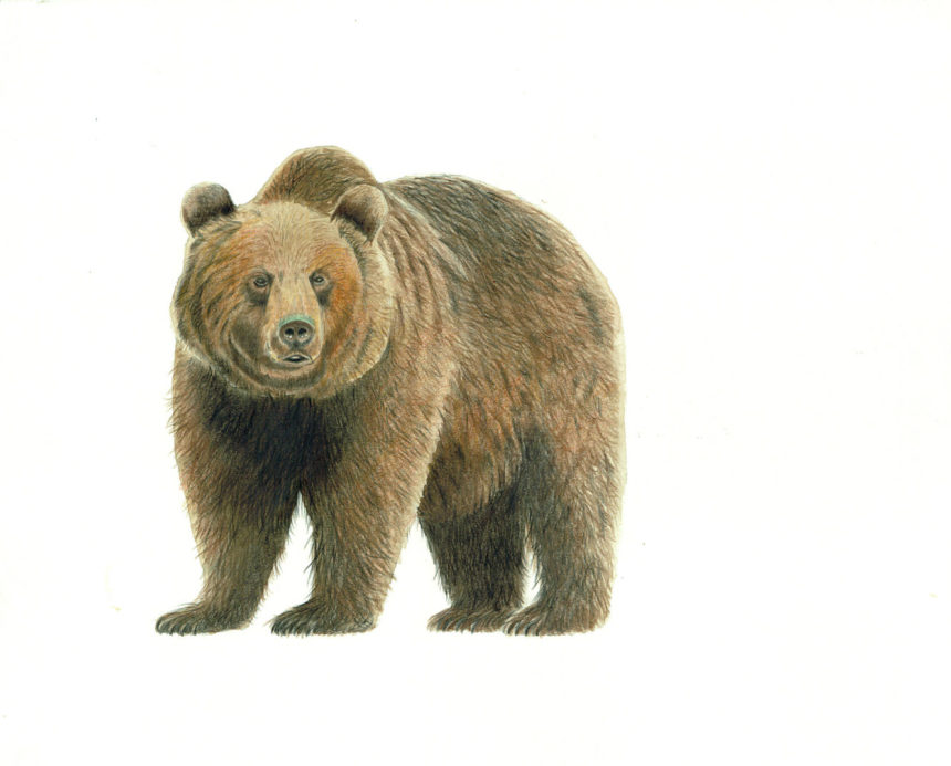 Sull’Onda dei ricordi