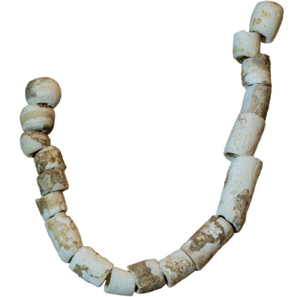 Buca del Corno – Vaghi in conchiglia